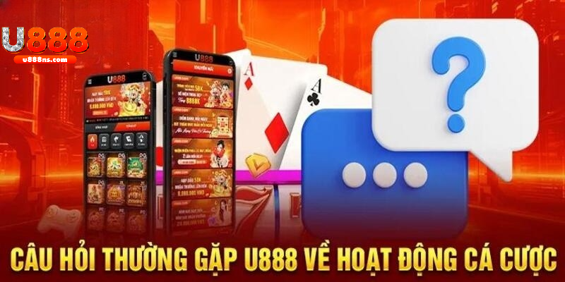Câu hỏi cùng giải đáp từ nhà cái cho tân binh